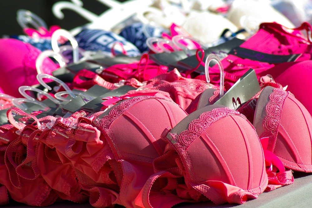Travel Bra Packing Organizer Case / Underwear/ Lingerie/ Panties/ Bikinis/  Bra sizes: 30A-36C by THE COOL BRA (Pink)